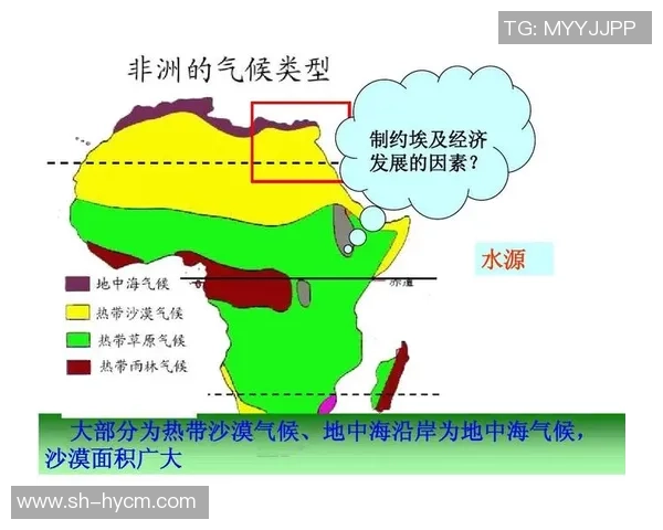 韩国与南非经济对比分析：发展模式与未来潜力的深度探讨